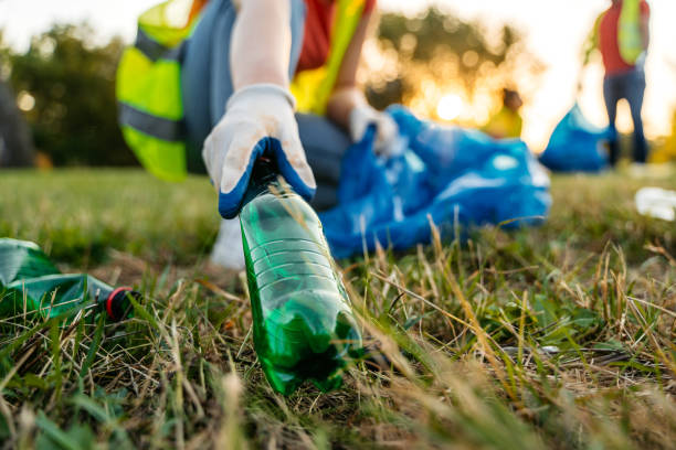 Yard Cleanup Services in San Diego Country Estates, CA